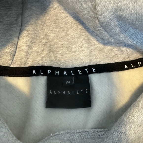 Alphalete Cropped Hoodie - Picture 3 of 3